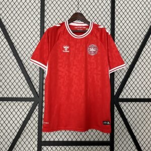 Camiseta Dinamarca 2024