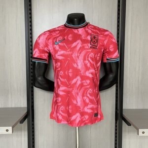 Camiseta korea alternativa 2024/25